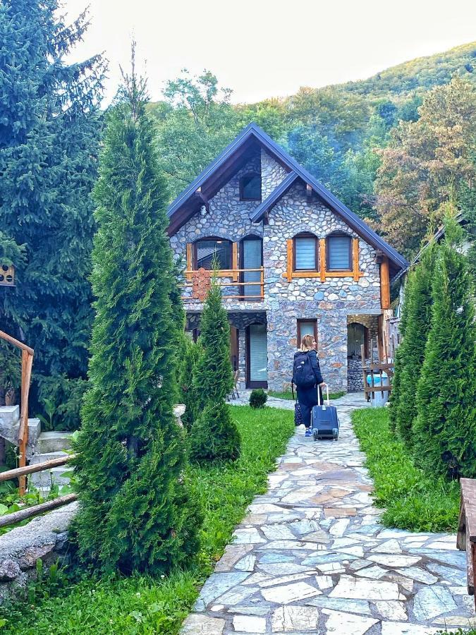 פג'ה Chalet Kujta מראה חיצוני תמונה